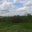  Land for sale in Monteria, Cordoba, Monteria