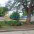  Land for sale in Monteria, Cordoba, Monteria