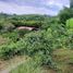 3 Bedroom House for sale in Filandia, Quindio, Filandia