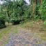3 Bedroom House for sale in Filandia, Quindio, Filandia