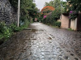  Grundstück zu verkaufen in Joquicingo, Mexico, Joquicingo