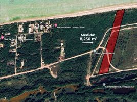  Land for sale in Hunucma, Yucatan, Hunucma