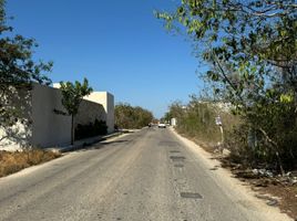  Grundstück zu verkaufen in Merida, Yucatan, Merida, Yucatan