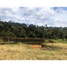 Terrain à vendre à Rionegro, Antioquia, Rionegro