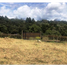 Terrain à vendre à Rionegro, Antioquia, Rionegro