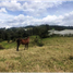 Terrain à vendre à Rionegro, Antioquia, Rionegro