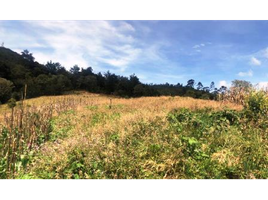 Terrain à vendre à Rionegro, Antioquia, Rionegro