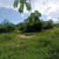  Land for sale in San Marcos, Guerrero, San Marcos