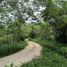  Land for sale in San Marcos, Guerrero, San Marcos