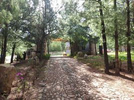  Terrain for sale in Atemajac De Brizuela, Jalisco, Atemajac De Brizuela