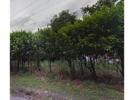  Land for sale in Cali, Valle Del Cauca, Cali