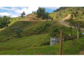 Terrain à vendre à Penol, Antioquia, Penol