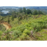 Terrain à vendre à Penol, Antioquia, Penol