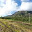 Land for sale in San Juan De Pasto, Narino, San Juan De Pasto, Narino