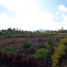  Land for sale in San Juan De Pasto, Narino, San Juan De Pasto, Narino