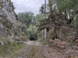  Terreno (Parcela) en venta en Zapopan, Jalisco, Zapopan, Jalisco