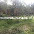  Land for sale in Guatape, Antioquia, Guatape