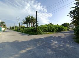  Grundstück zu verkaufen in Progreso, Yucatan, Progreso