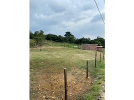  Land for sale in Valle Del Cauca, El Cerrito, Valle Del Cauca