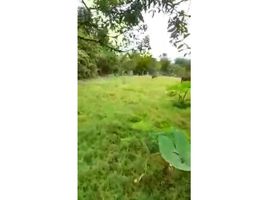  Land for sale in Valle Del Cauca, El Cerrito, Valle Del Cauca