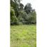  Land for sale in Valle Del Cauca, El Cerrito, Valle Del Cauca