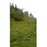  Land for sale in Valle Del Cauca, El Cerrito, Valle Del Cauca