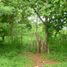  Land for sale in Colon, Cristobal, Colon, Colon