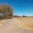 Land for sale in Cuauhtemoc, Chihuahua, Cuauhtemoc
