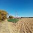  Land for sale in Cuauhtemoc, Chihuahua, Cuauhtemoc