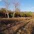  Terreno (Parcela) en venta en Mocorito, Sinaloa, Mocorito