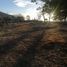  Land for sale in Mocorito, Sinaloa, Mocorito