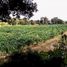  Grundstück zu verkaufen in Arandas, Jalisco, Arandas