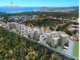 3 Habitación Apartamento en venta en La Paz, Baja California Sur, La Paz, Baja California Sur