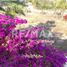 4 Bedroom House for sale in La Paz, Baja California Sur, La Paz, Baja California Sur