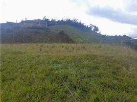  Land for sale in Penol, Antioquia, Penol