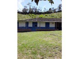  Terreno (Parcela) en venta en Penol, Antioquia, Penol