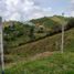  Terreno (Parcela) en venta en Penol, Antioquia, Penol