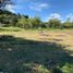  Land for sale in Penol, Antioquia, Penol