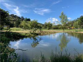  Terreno (Parcela) en venta en Penol, Antioquia, Penol