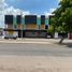 Studio House for rent in Culiacan Sinaloa, Culiacan, Sinaloa