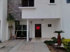 3 Habitación Casa en alquiler en Culiacan, Sinaloa, Culiacan