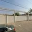  Land for rent in Culiacan, Sinaloa, Culiacan