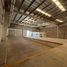  Land for rent in Culiacan, Sinaloa, Culiacan