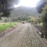  Terreno (Parcela) en venta en Chia, Cundinamarca, Chia