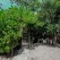 3 Bedroom Villa for rent in Cozumel, Quintana Roo, Cozumel, Quintana Roo, Mexico