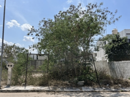  Grundstück zu verkaufen in Conkal, Yucatan, Conkal