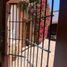Maison 5 chambre à vendre à Queretaro, Queretaro, Queretaro, Queretaro