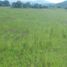  토지을(를) Amealco De Bonfin, Queretaro에서 판매합니다., Amealco De Bonfin