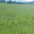  토지을(를) Amealco De Bonfin, Queretaro에서 판매합니다., Amealco De Bonfin