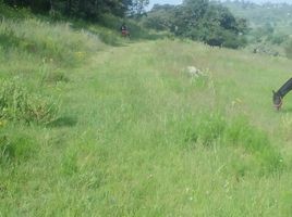  토지을(를) Amealco De Bonfin, Queretaro에서 판매합니다., Amealco De Bonfin
